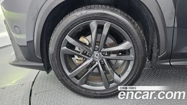 Lexus NX350h, 2024