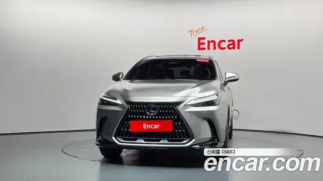 Lexus NX350h, 2023