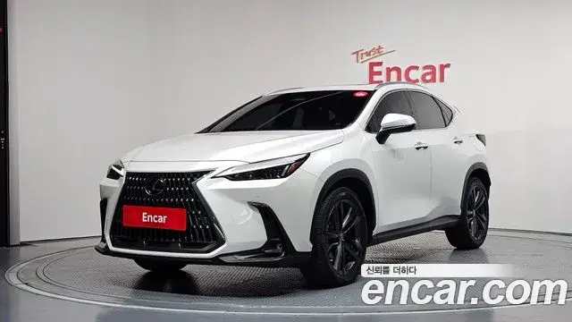 Lexus NX350h, 2023