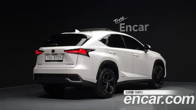 Lexus NX300h, 2019