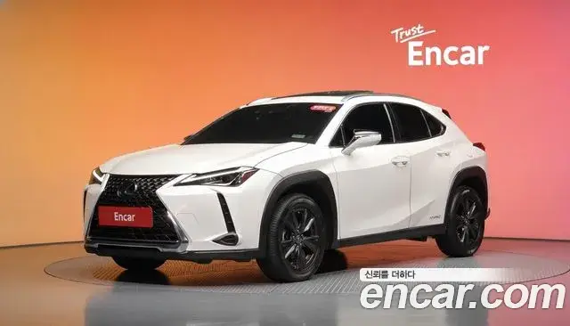 Lexus UX250h, 2019