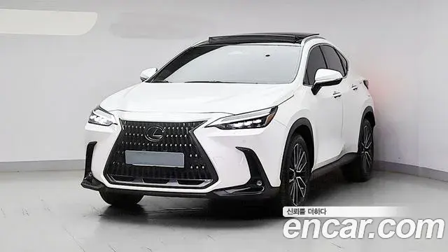 Lexus NX350h 2023 — Фото 9/20