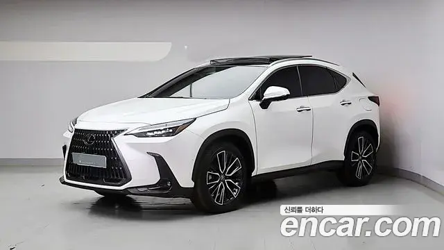 Lexus NX350h 2023 — Фото 2/20