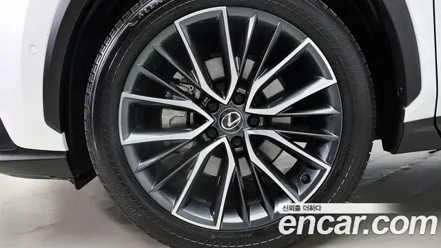 Lexus NX350h 2023 — Фото 4/20