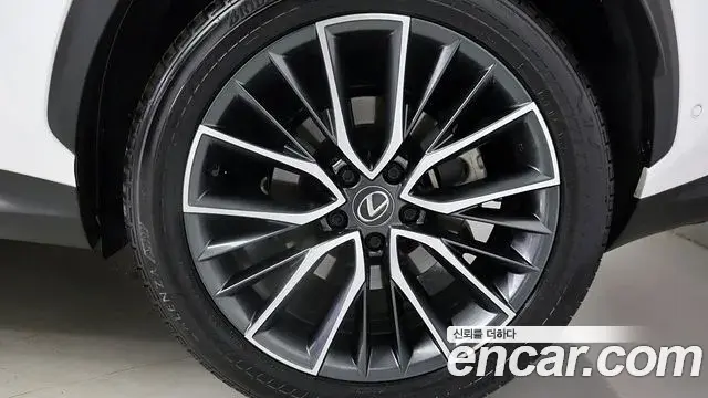 Lexus NX350h 2023 — Фото 5/20