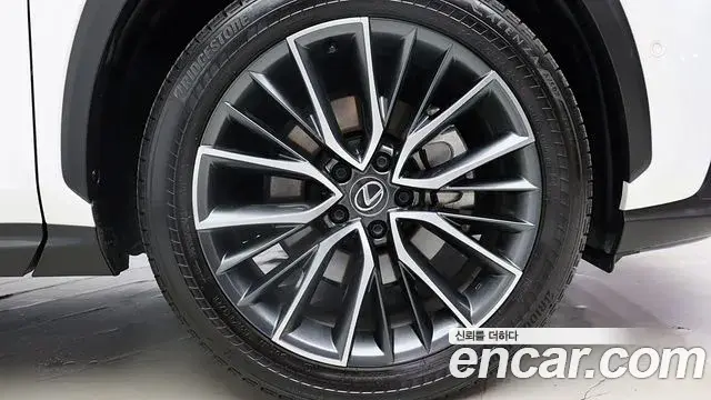 Lexus NX350h 2023 — Фото 6/20