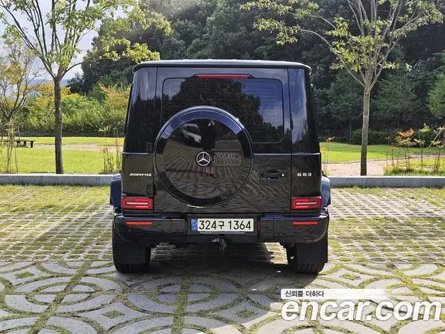 Mercedes-Benz G-Class 2021 — Photo 10/20