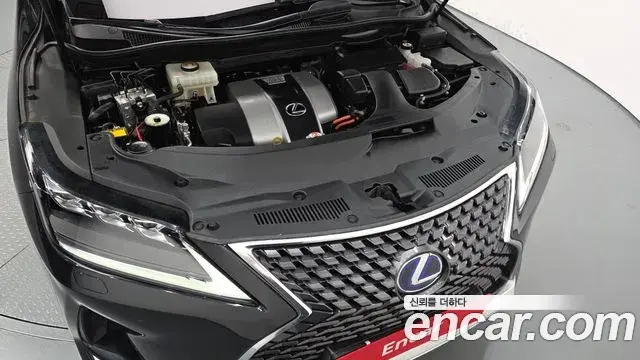 Lexus RX450h 2022 — Photo 39/40