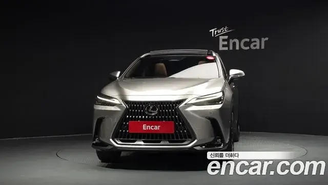 Lexus NX350h 2025 — Photo 29/42
