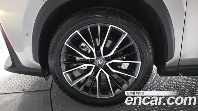 Lexus NX350h 2025 — Photo 34/42