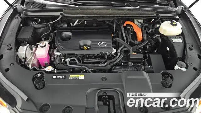 Lexus RX350h 2025 — ფოტო 12/37