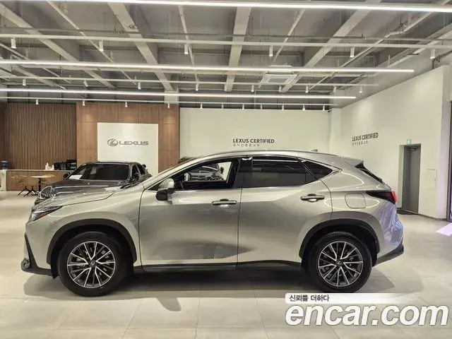 Lexus NX450h+ 2025 — Şəkil 7/20