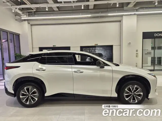 Lexus RZ450e 2023 — Şəkil 19/20