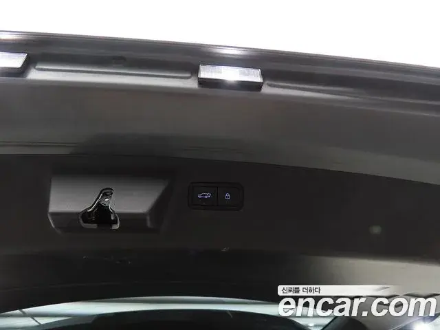 Hyundai Santa Fe 2024 — ფოტო 1/20