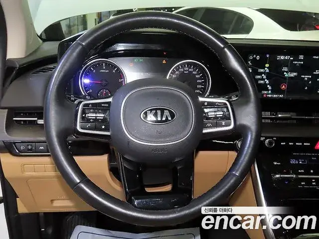 Kia Carnival 2021 — Фото 6/20