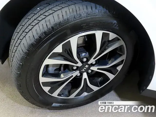 Kia Carnival 2021 — Фото 19/20