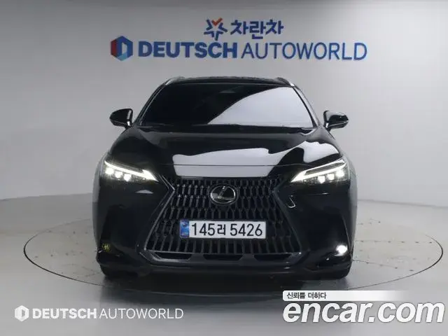 Lexus NX350h 2025 — Фото 2/20