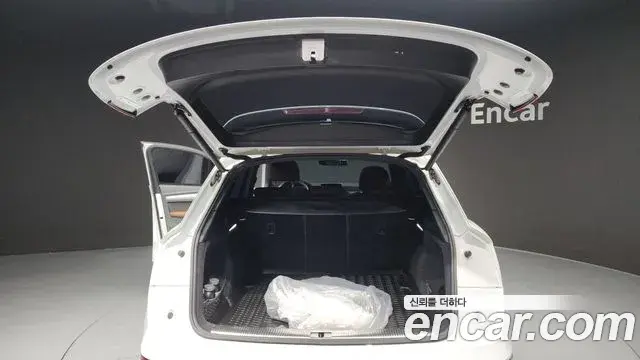 Audi Q5 2020 — ფოტო 1/20