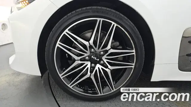 Kia Stinger Meister 2022 — ფოტო 14/20