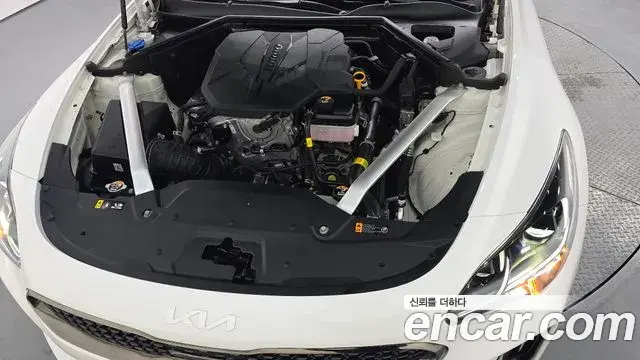 Kia Stinger Meister 2022 — ფოტო 2/20