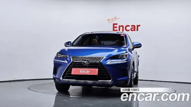 Lexus NX300h 2019 — ფოტო 12/33