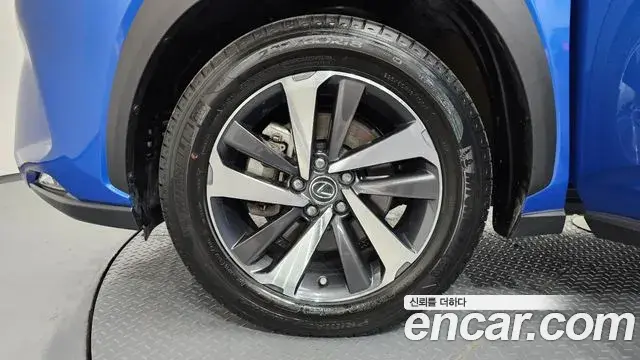 Lexus NX300h 2019 — ფოტო 20/33
