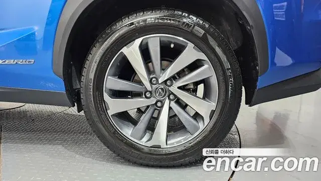 Lexus NX300h 2019 — ფოტო 3/33