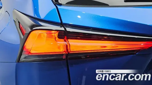 Lexus NX300h 2019 — ფოტო 9/33