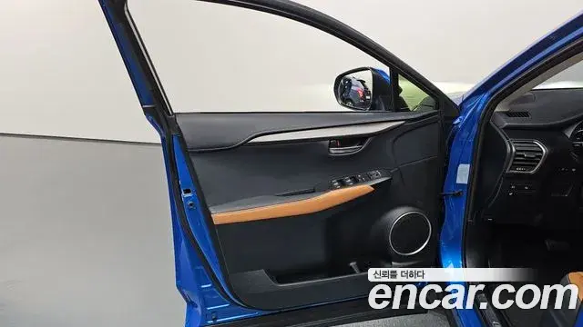 Lexus NX300h 2019 — ფოტო 8/33