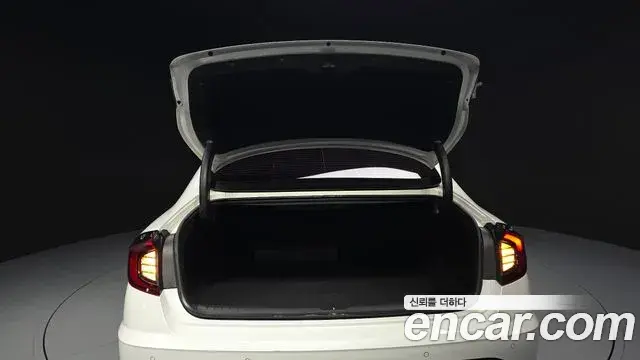 Hyundai Sonata Hybrid 2019 — Şəkil 20/33