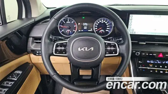 Kia Carnival 2021 — ფოტო 8/20
