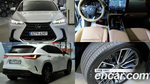 Lexus NX350h 2025 — Фото 9/20