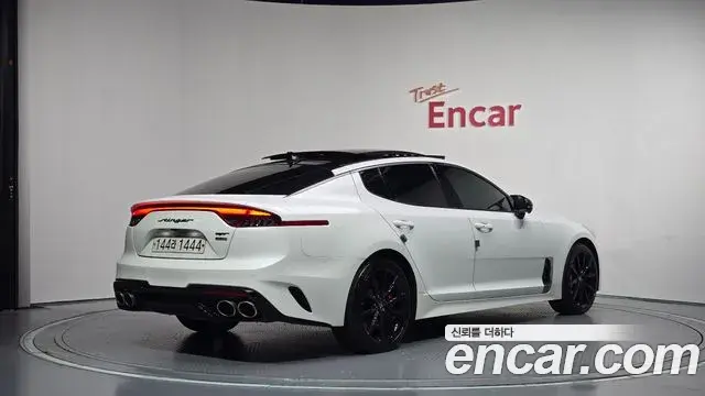 Kia Stinger Meister 2020 — ფოტო 13/34