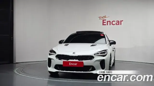 Kia Stinger Meister 2020 — ფოტო 30/34