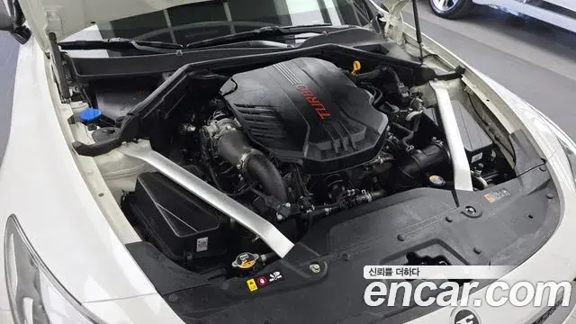 Kia Stinger Meister 2020 — ფოტო 14/34