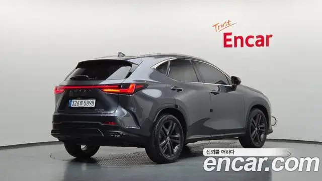 Lexus NX350h 2023 — Фото 1/20