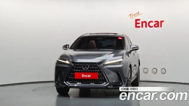 Lexus NX350h 2023 — Фото 2/20