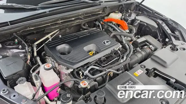 Lexus NX350h 2023 — Фото 5/20