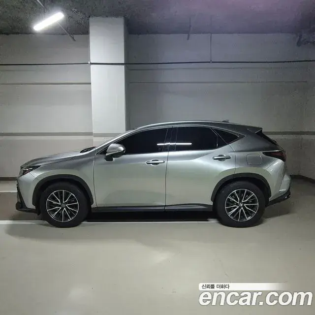 Lexus NX450h+ 2023 — Фото 2/6