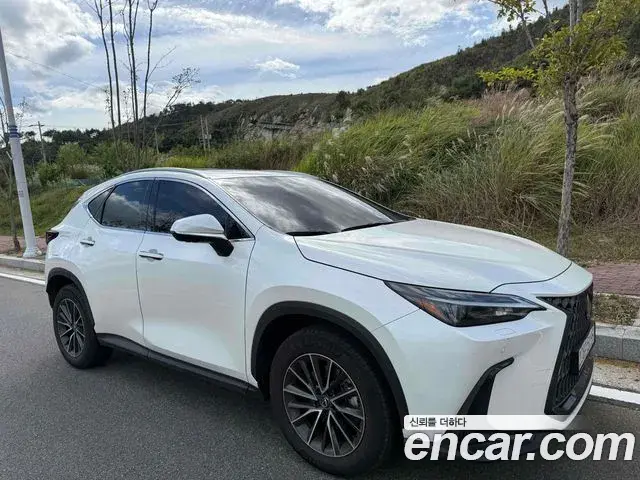 Lexus NX450h+ 2024 — Фото 8/8