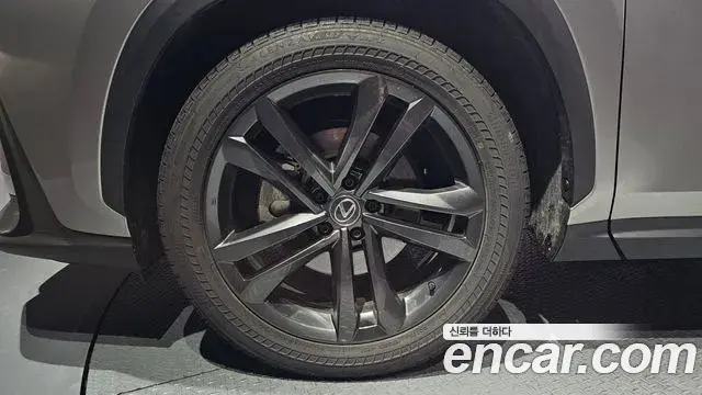 Lexus NX350h 2024 — Şəkil 15/20