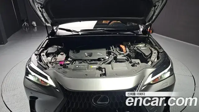 Lexus NX350h 2024 — Şəkil 16/20
