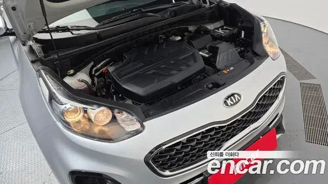 Kia Sportage The Bold 2020 — ფოტო 11/20