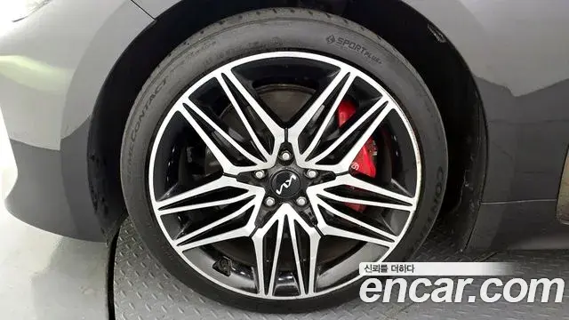 Kia Stinger Meister 2021 — Photo 3/20