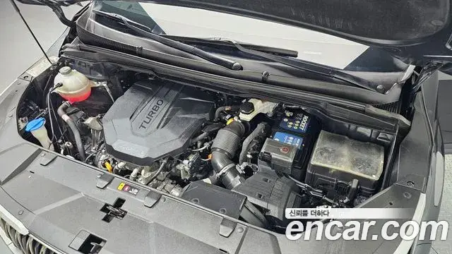 Kia Carnival 2021 — Фото 6/20