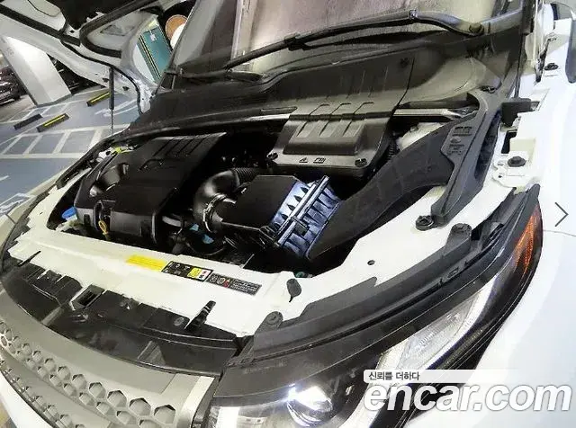 Land Rover Range Rover Evoque 2019 — ფოტო 5/20