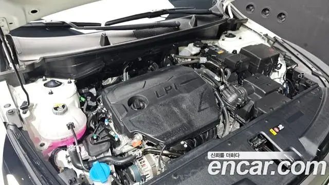 Kia Sportage 2024 — ფოტო 14/36