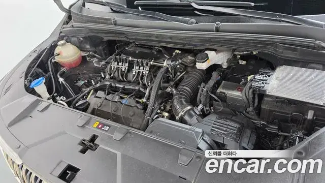 Kia Carnival 2022 — Photo 10/41
