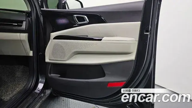 Kia Carnival 2020 — ფოტო 14/35
