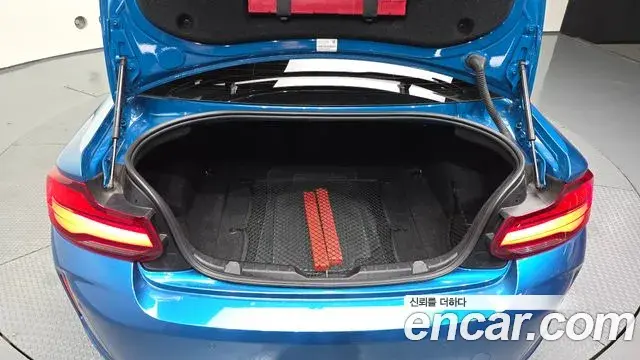 BMW M2 2019 — Şəkil 19/20